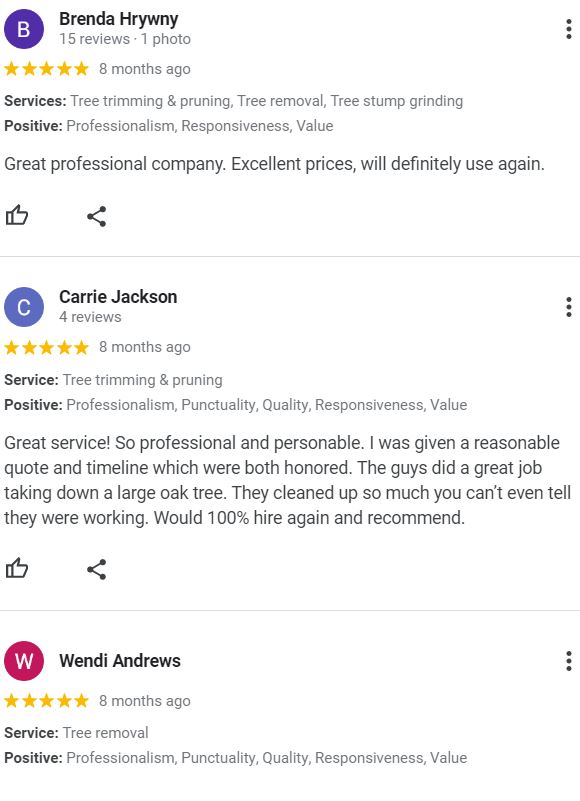 Drop Zone Tree Service Cedar Point NC