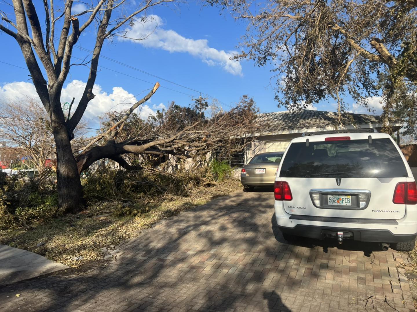 Emergency tree service near me