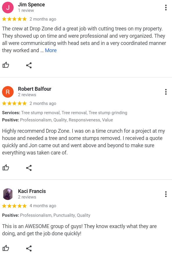 Drop Zone Tree Service Atlantic Beach NC