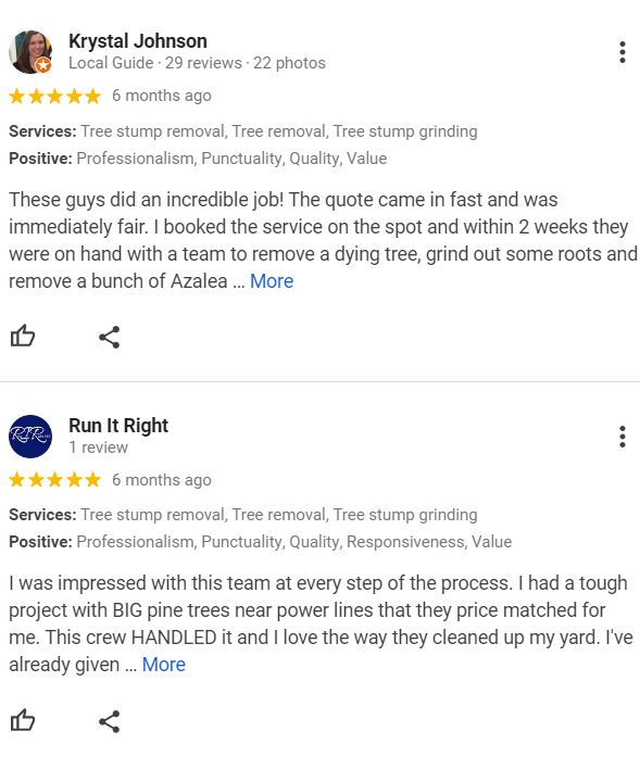 Drop Zone Tree Service New Bern NC