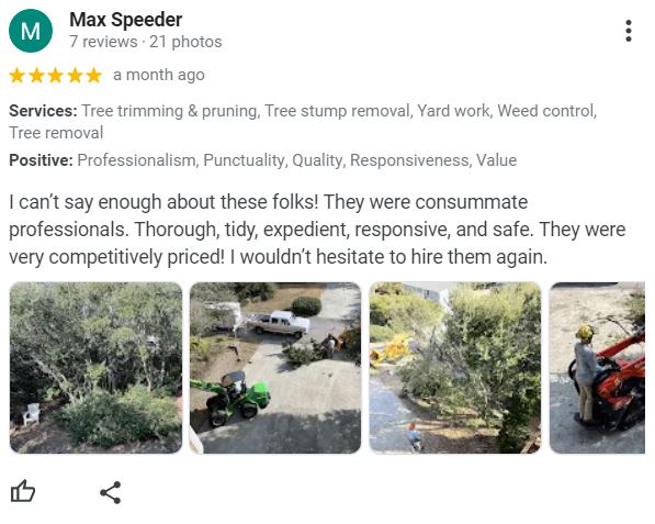 Drop Zone Tree Service Jacksonville NC