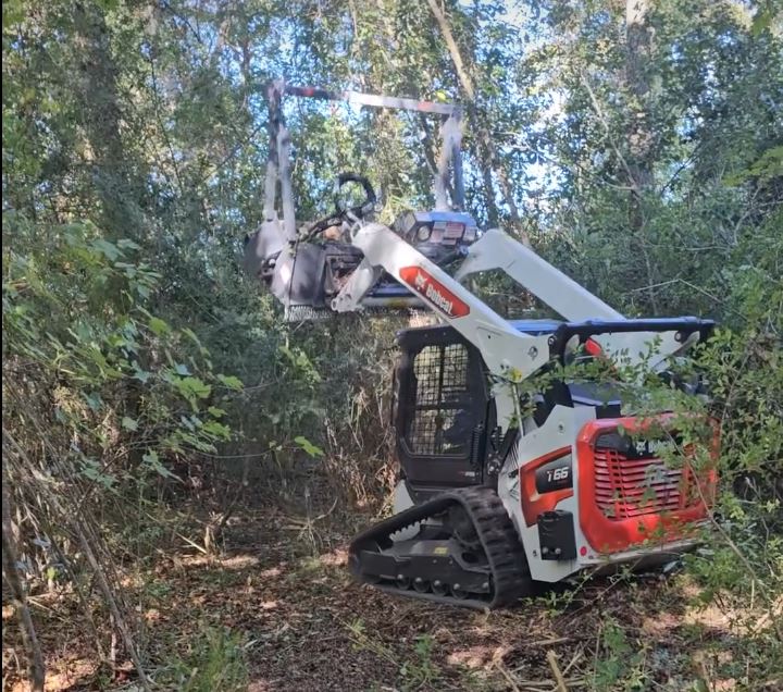 forestry mulching near me