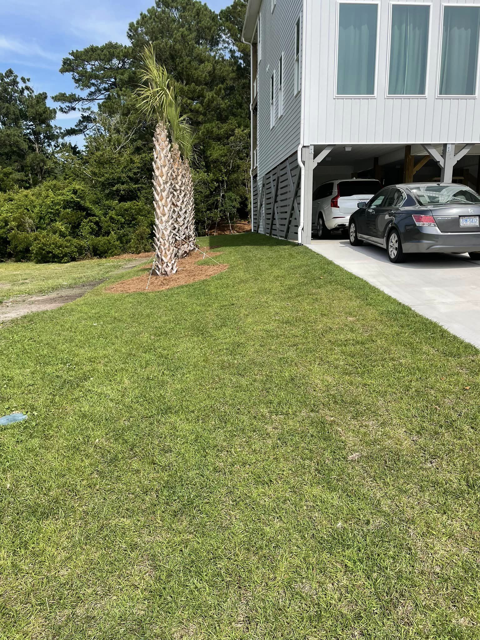 turf managment for a beach home 
