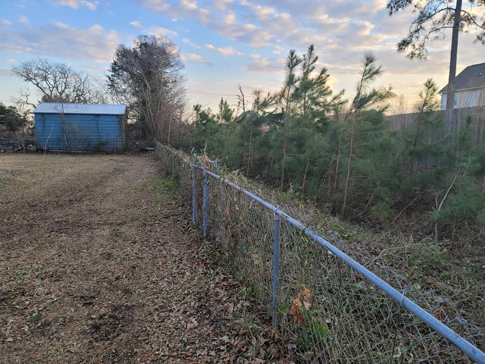 managing invasive species of vegetation for foresty mulching service