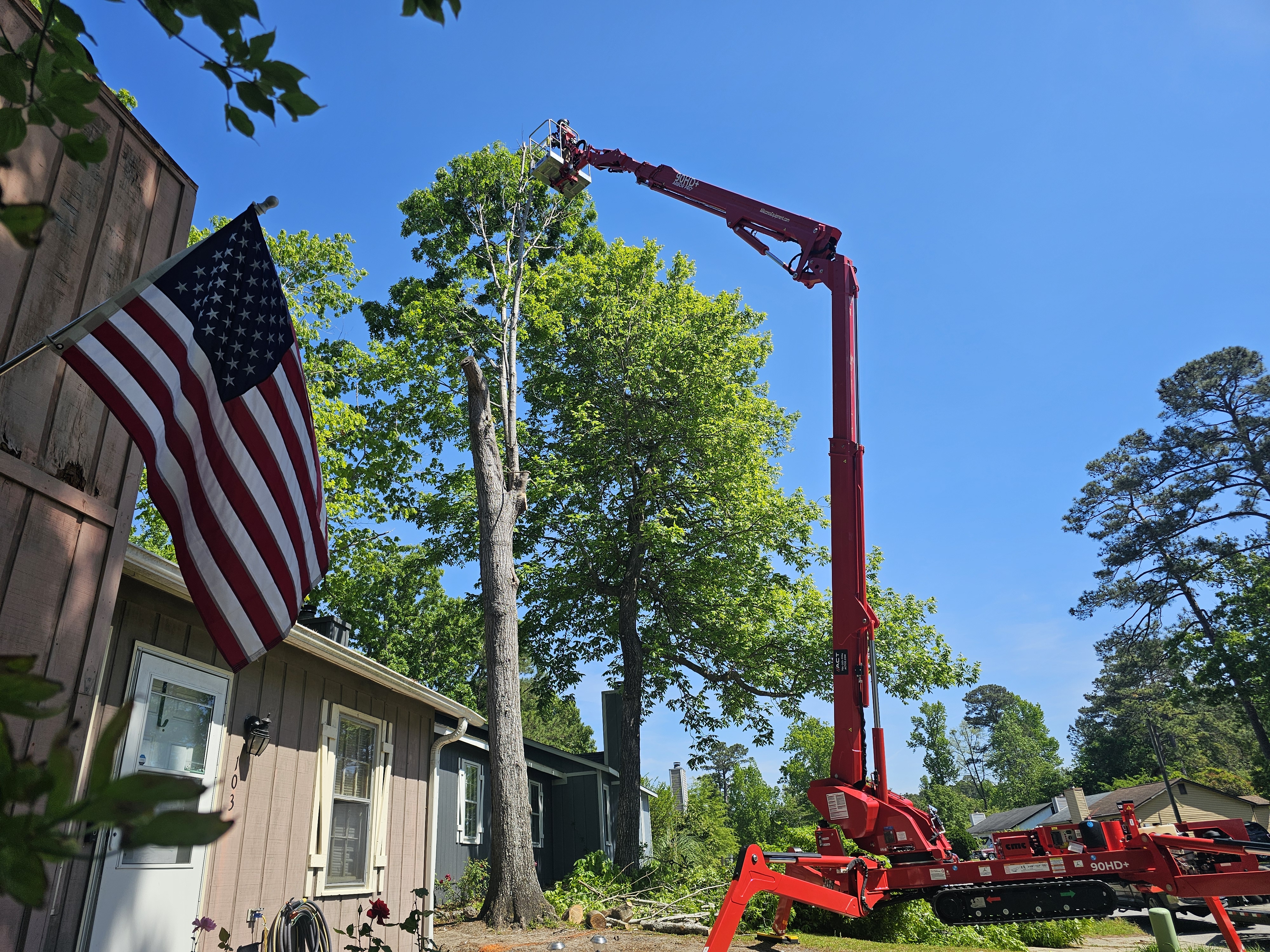 tree trimming near me