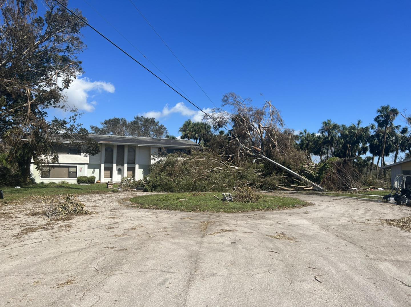hazardous tree leaning on a roof of a home 