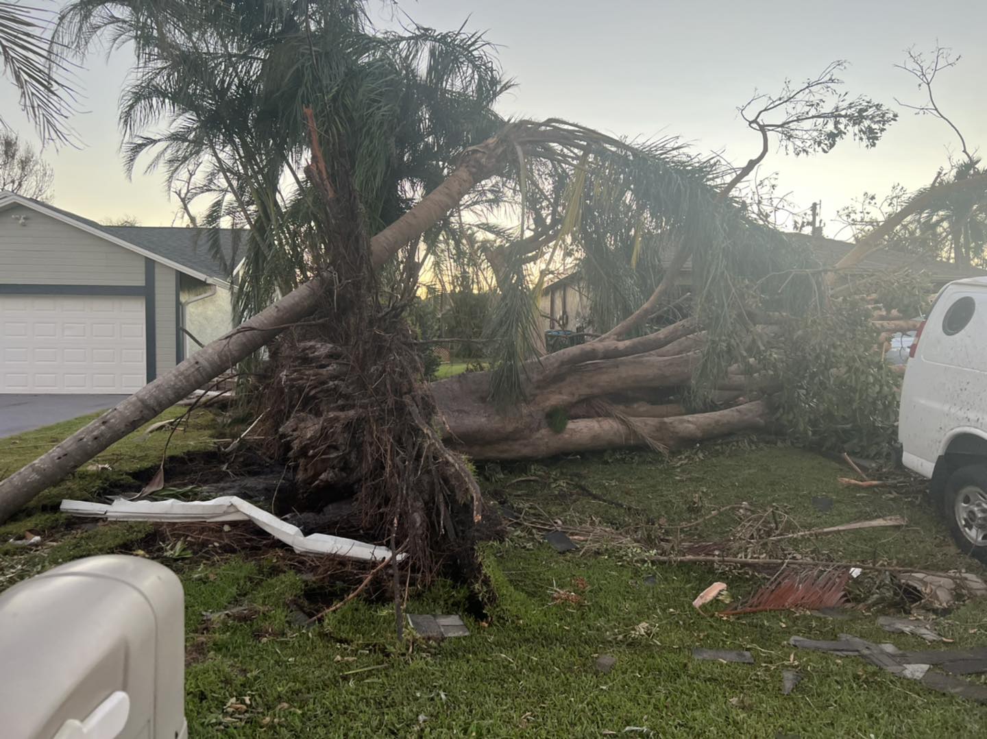 Tree uprooted and knocked over in a driveway from a strom