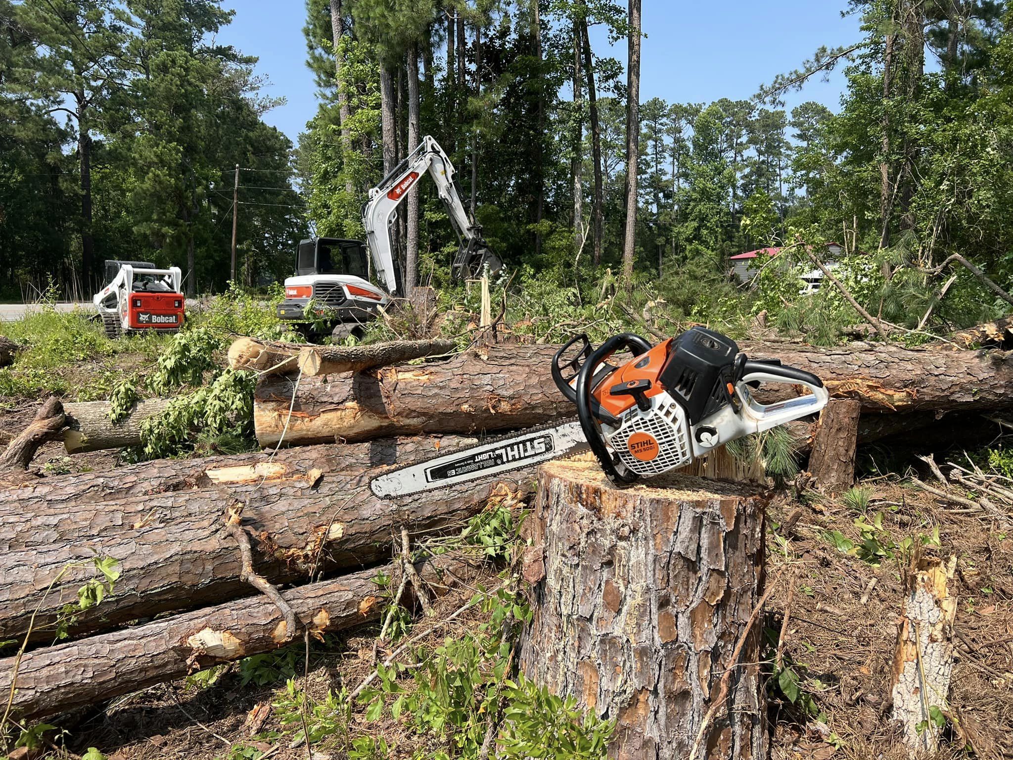 Storm Debris Clean Up large trees cut into logs and branches removed from a property after a damaging storm