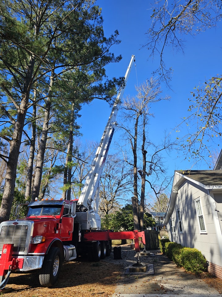 Crane & Crane Rigging Services