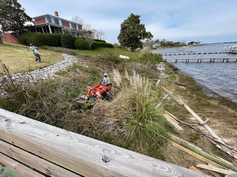 Brush and underbrush Removal Services