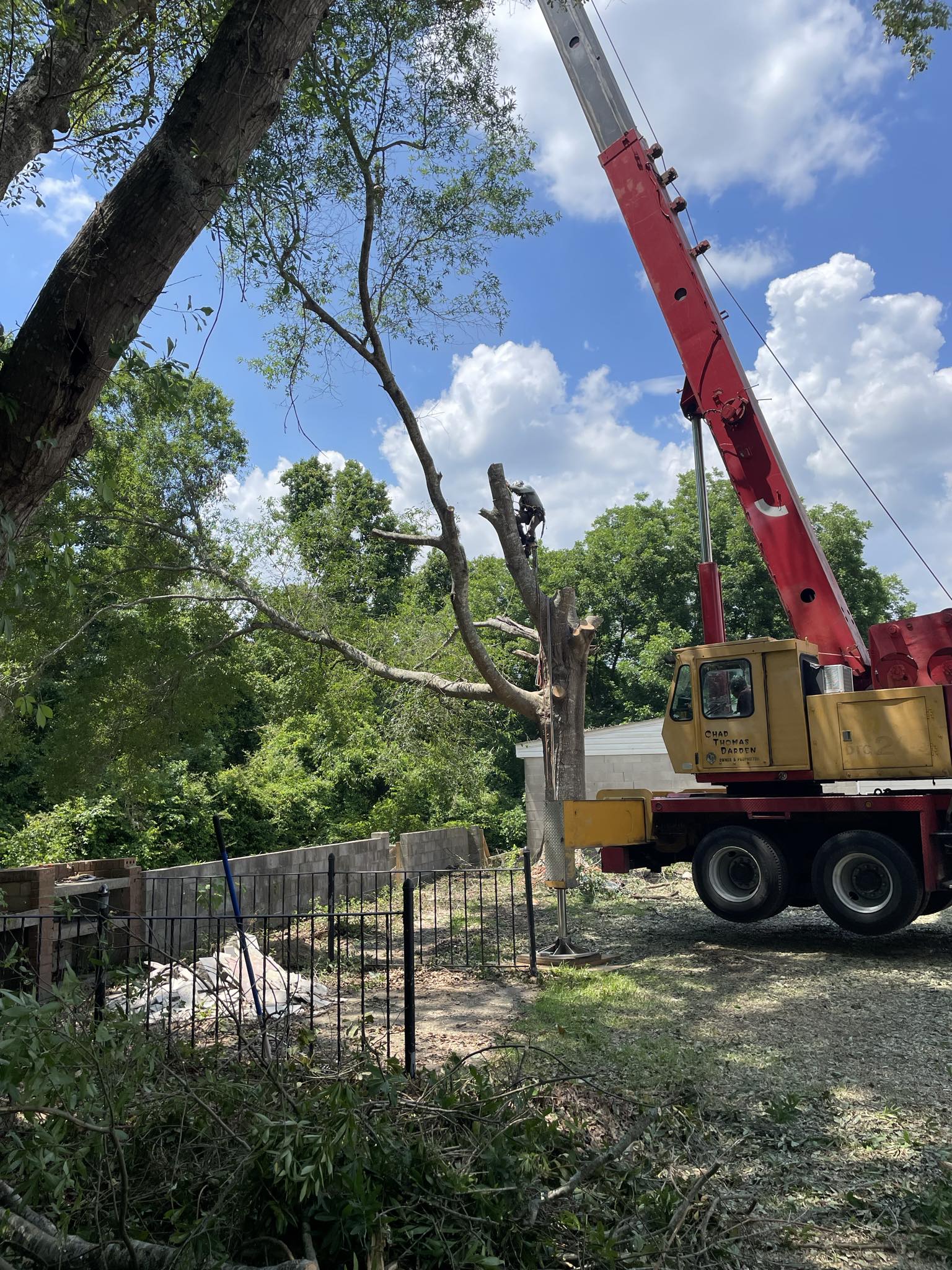 IMG_20240907_144205 (14)