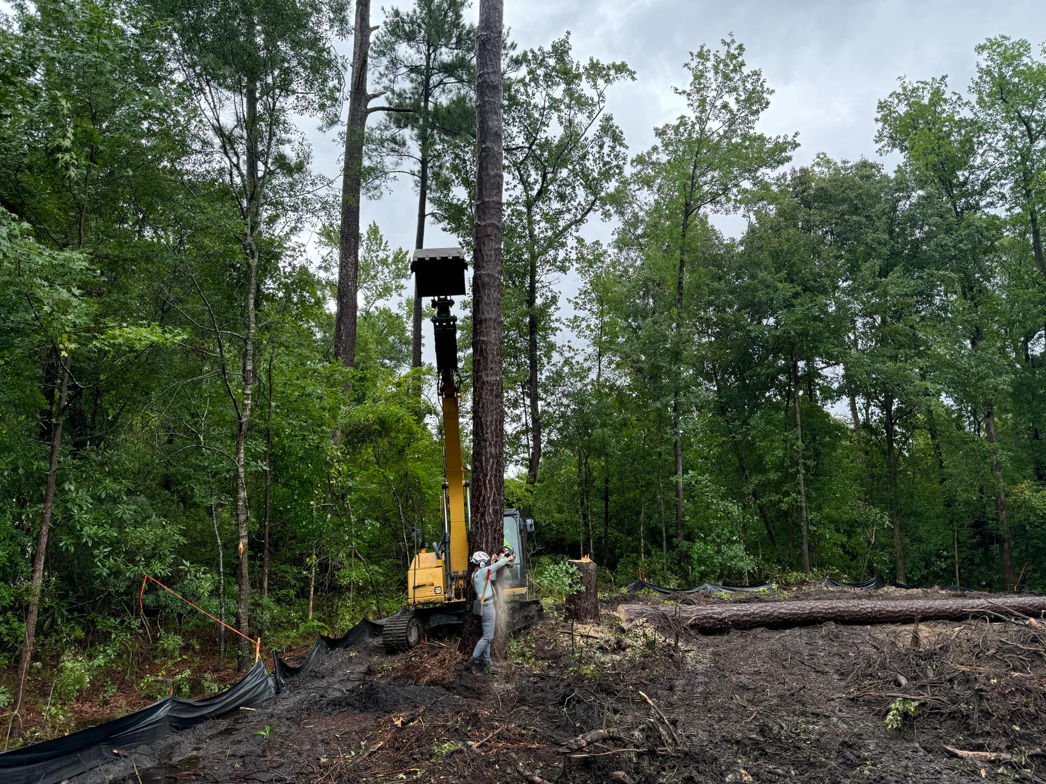 IMG_20240907_144205 (6)