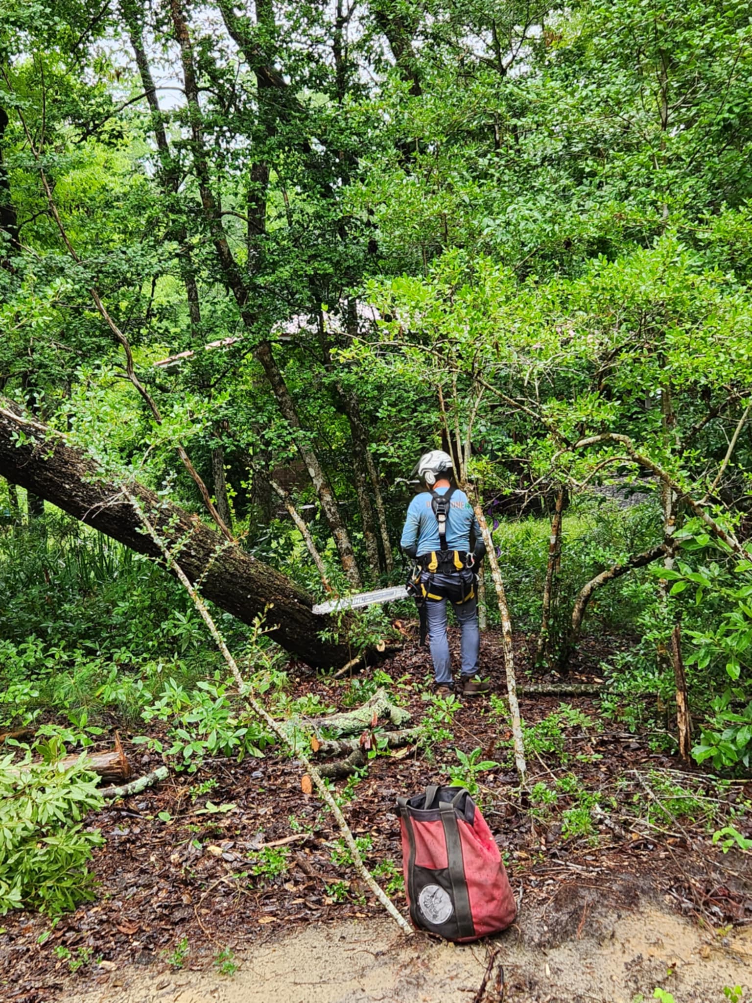 IMG_20240907_144205 (9)