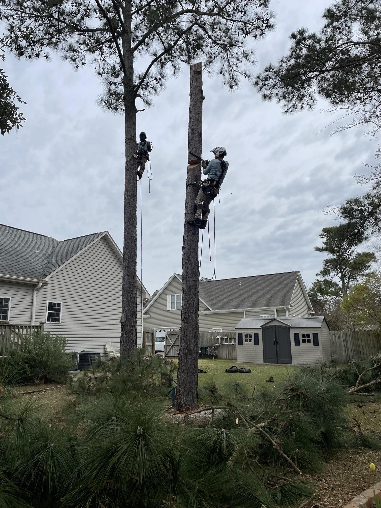 IMG_20240907_144206 (10)