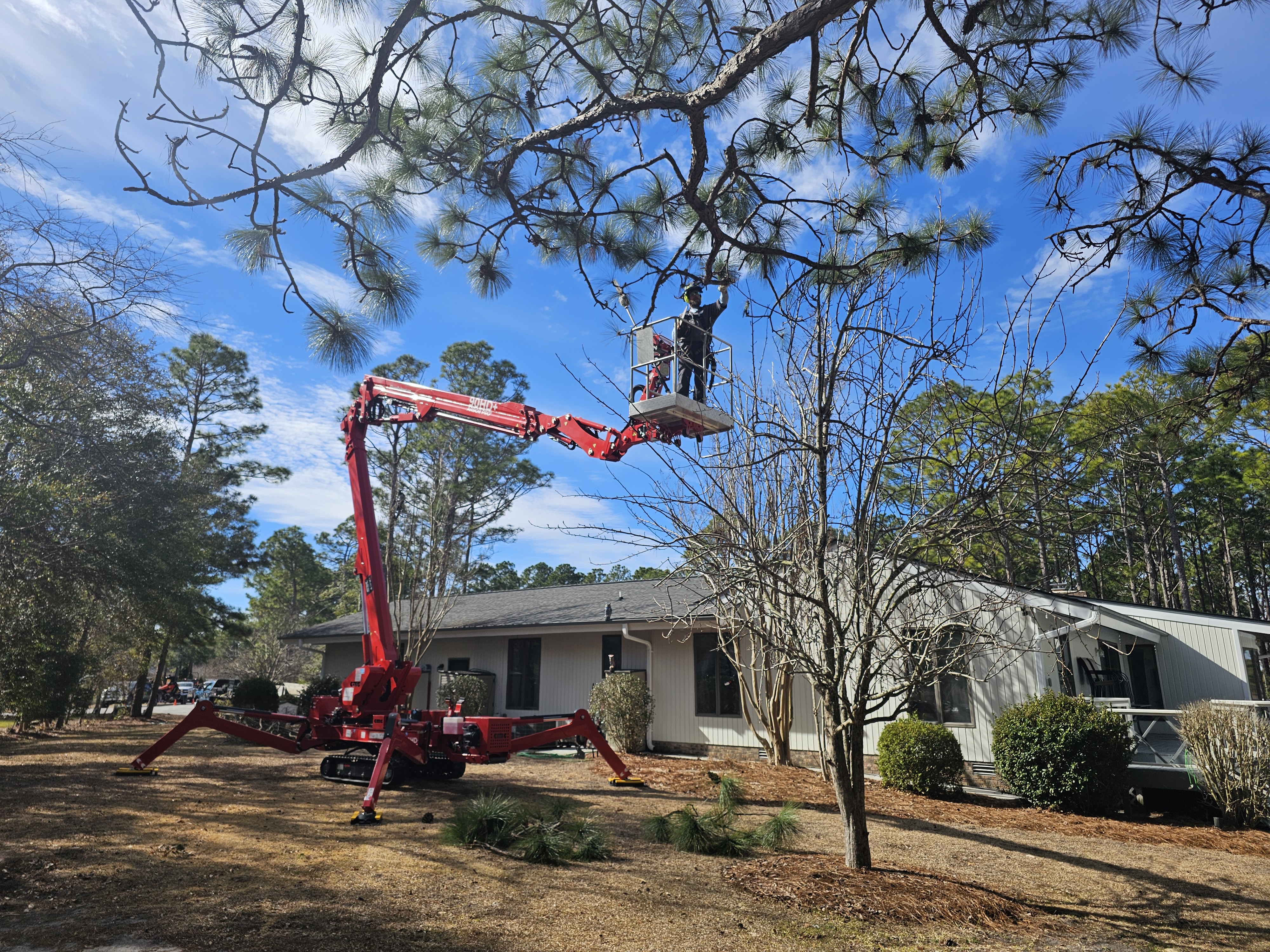 IMG_20240907_144206 (12)