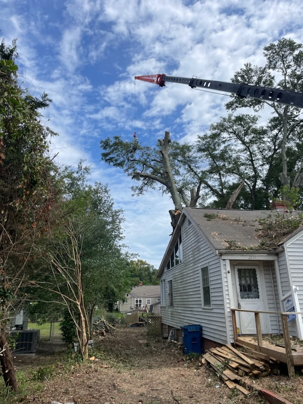 IMG_20240907_144223 (2)