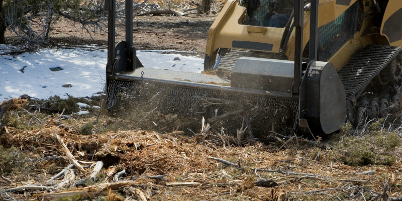 mulching - Forestry Mulching & Organic Material Handling Services