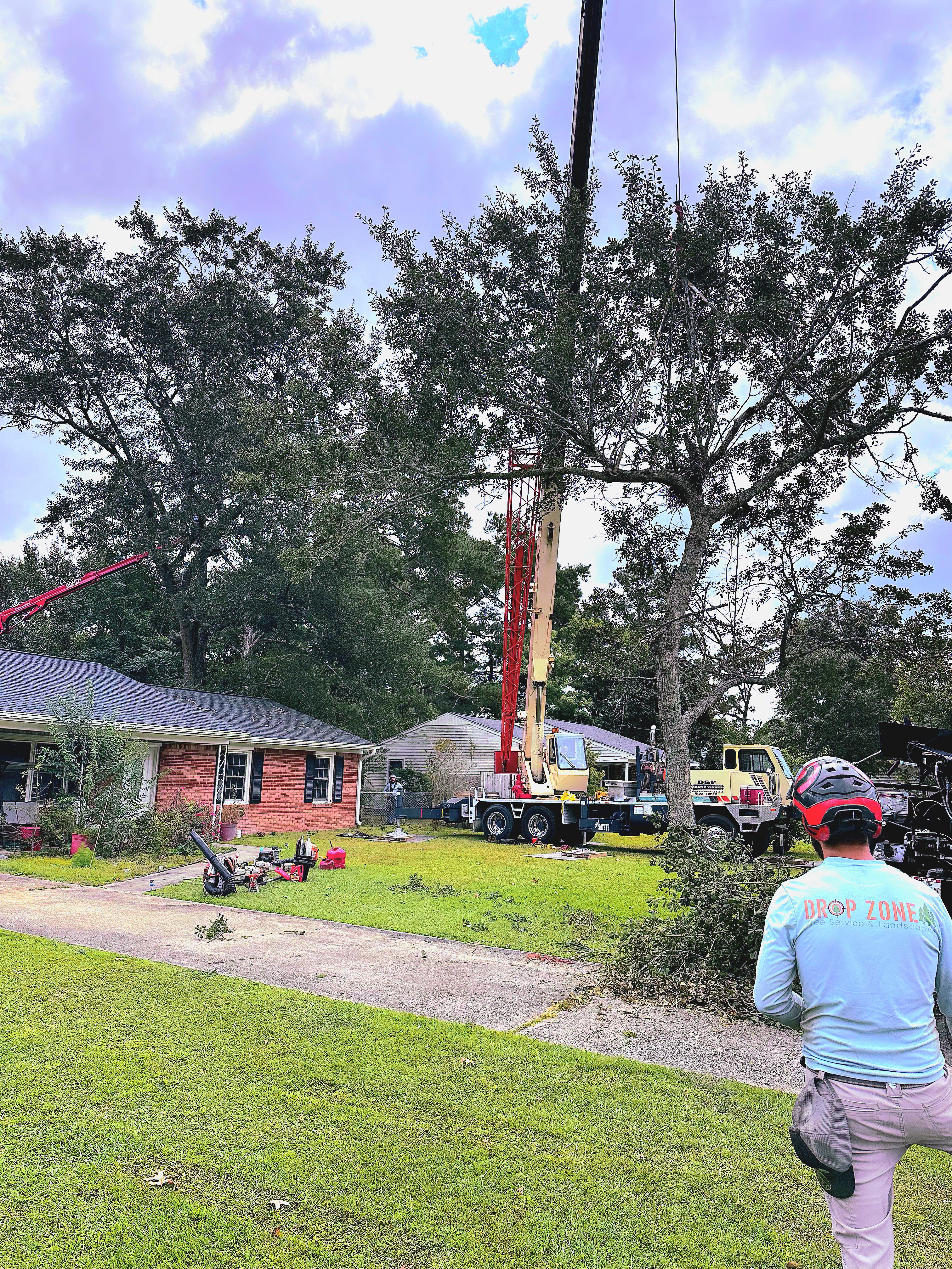 Large Tree Removal Service in Onslow County NC