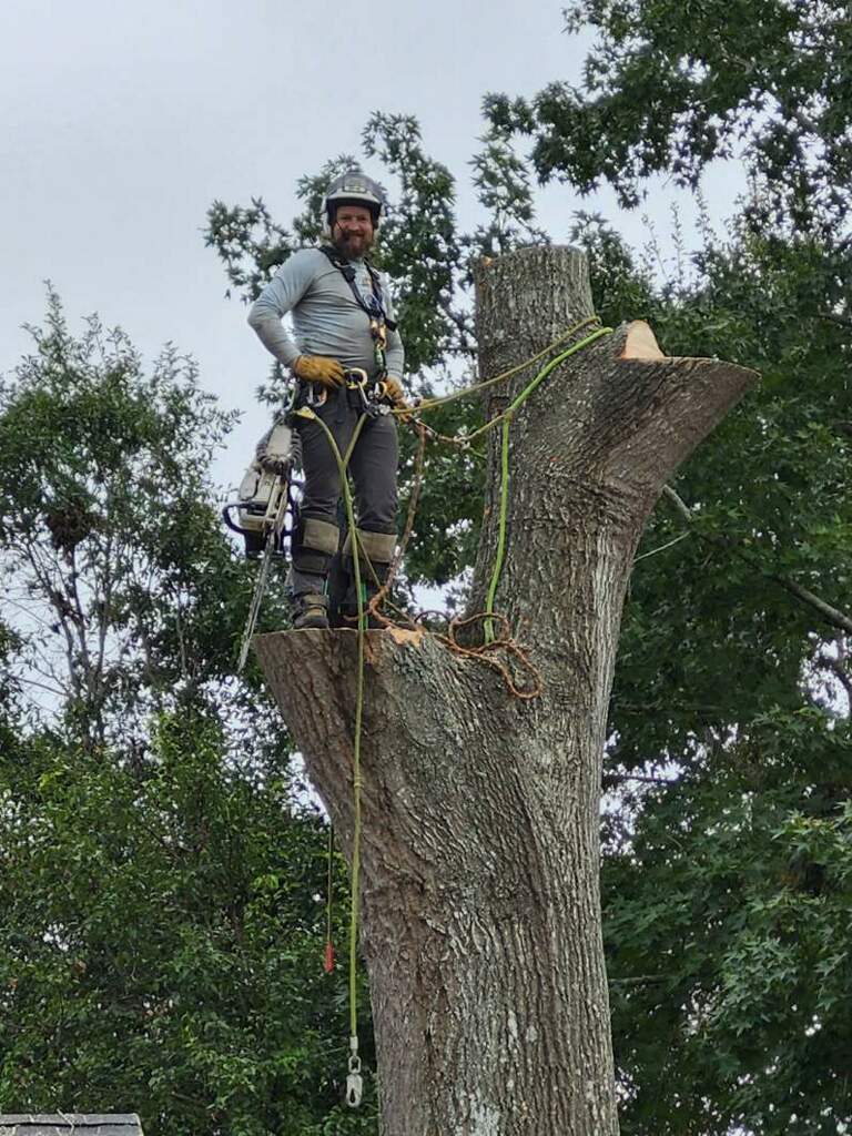 Jon Danger DZ Owner Cutting Tree Massive Limbs